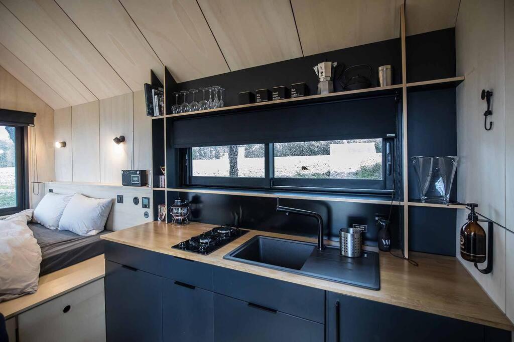 L'Envolee Ecolodge, Tiny House Au Coeur Des Vignes Loches-sur-Ource Esterno foto