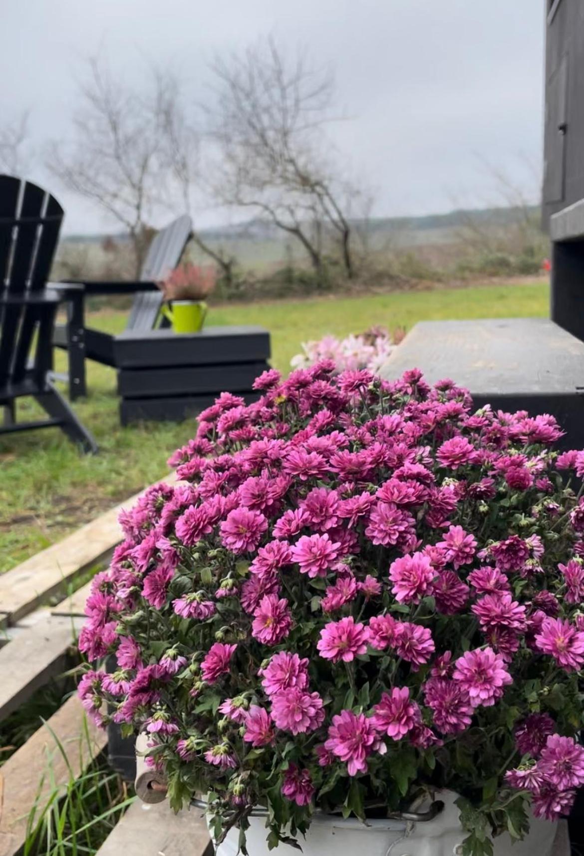 L'Envolee Ecolodge, Tiny House Au Coeur Des Vignes Loches-sur-Ource Esterno foto